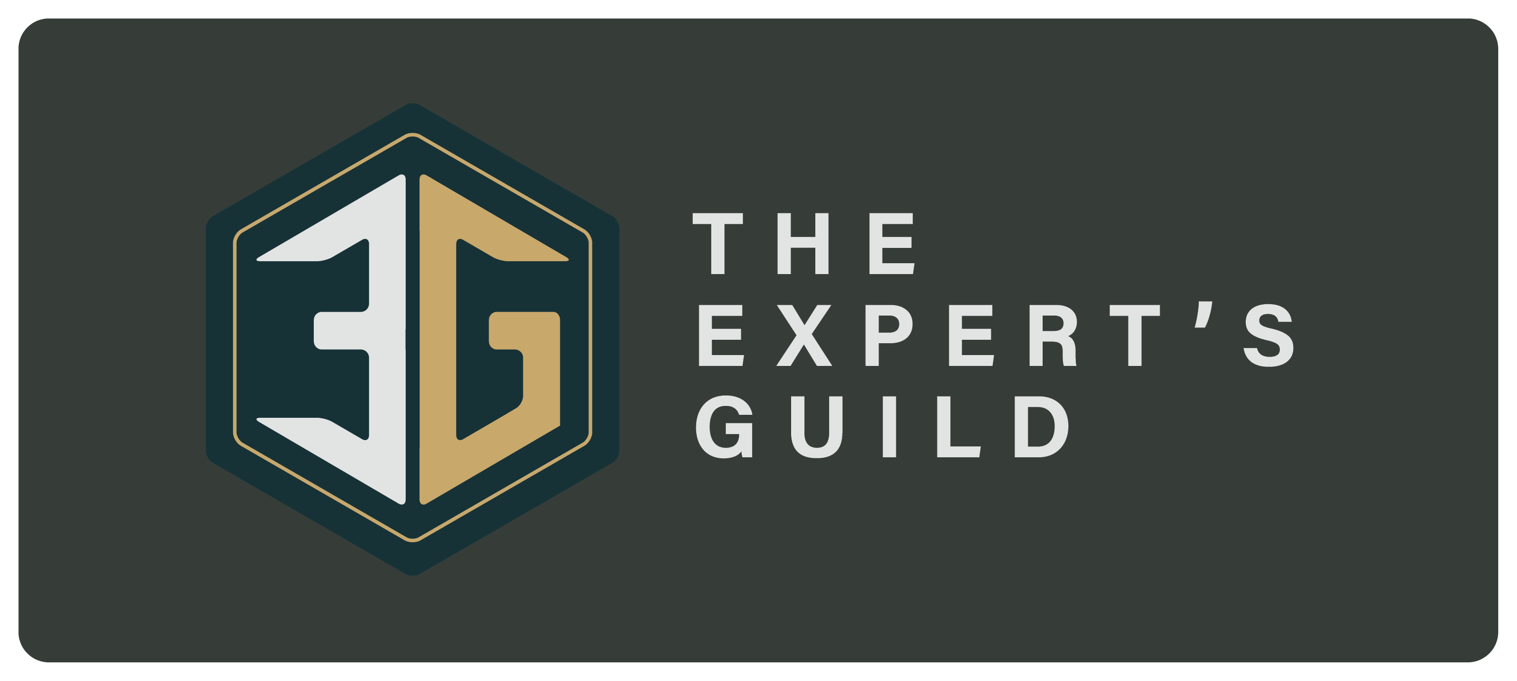 The Expert's Guild